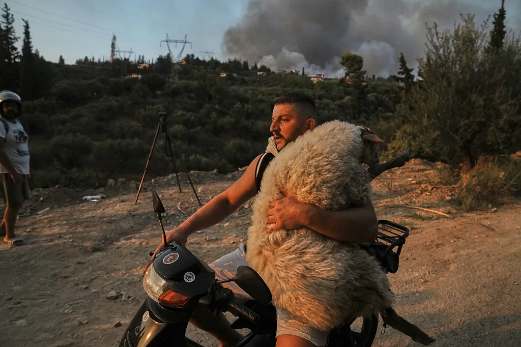 Shpëtoi delen nga zjarret në Greqi, fotoja e shqiptarit në listën e BBC si më e mira për 2025-n