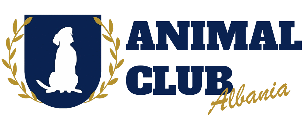 Animal Club 
