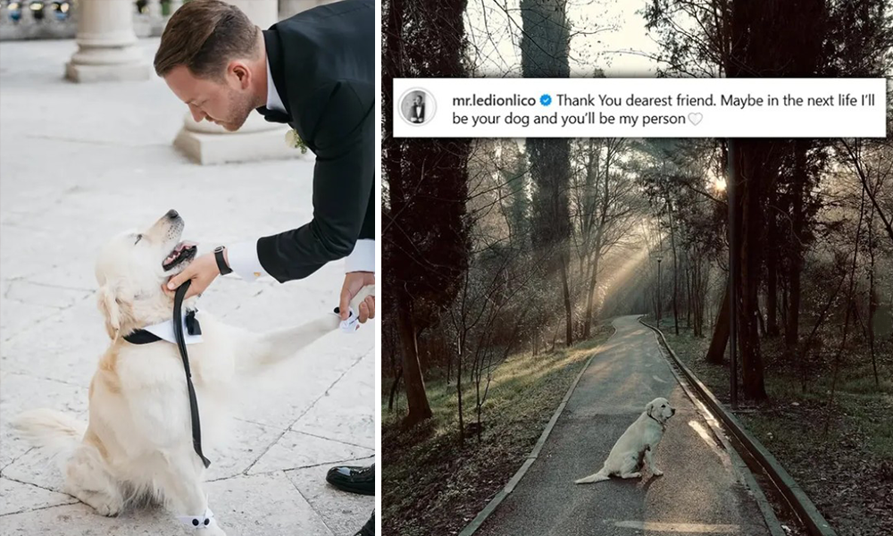 Moderatori Ledion Liço prek me postimin pas ndarjes nga jeta të qenushit të tij Jobs