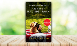 “The Art of Racing in the Rain” – Një histori e jetës, dashurisë dhe shpresës përmes syve të një qeni