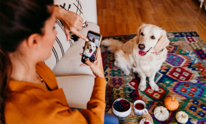 Pronarët e qenve fotografojnë kafshët e tyre më shumë se partnerin, sipas një studimi