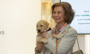 Një shans i dytë për kafshët e braktisura, ëndrra e Mbretëreshës së Spanjës do të kthehet në realitet